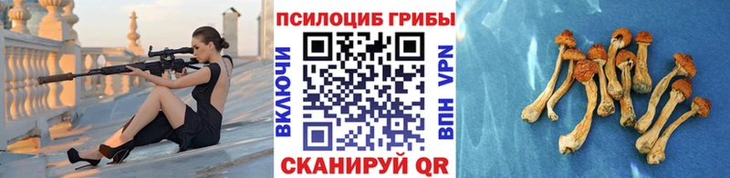 Галлюциногенные грибы Psilocybine cubensis  купить   Североуральск 